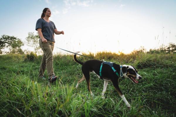 Ruffwear Hi & Light Harness Basalt Gray Gr. L/XL Ruffwear Hi & Light Harness Basalt Gray Gr. L/XL